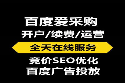 案例研究：竞价广告助力电商行业增长